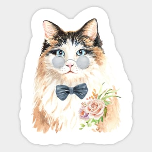 Handsome Male Cat Sticker